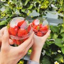 019-1.대박자원입구_1 | [양평 외갓집체험마을] 3월 1박2일 방문기 촌캉스 필수 준비물 커플여행 더블데이트!