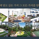 노르웨이숲 이미지
