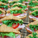 베뢰아국제대학원 이미지