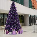 머큐어 서울 마곡 | 가성비 좋은 호캉스 숙소 머큐어 서울 마곡 호텔 후기