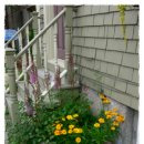 안녕 구름아 이미지