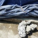 주식회사 라인건설 이미지