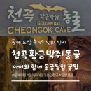 동해교육도서관 | 동해 여행 도심 속 신비한 지하세계 '천곡황금박쥐동굴' 방문 후기 &amp; 꿀팁
