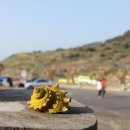 그림카페 이미지