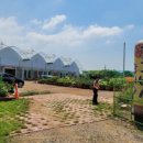 가치마루농장 이미지