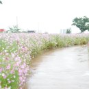 호산대학교 이미지