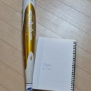 웨이트레이드 스칸듐 불도끼 33-28 12만원 이미지
