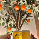 한라 2 | 광주 하남2지구 한라맥주 방문 후기💜