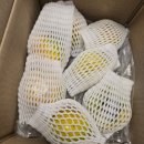 단감상회 | 태추단감 맛있네요(울아부지 후기 ㅎㅎ) / 레드클라렛 추천드려요(오전에 마감할께요.)