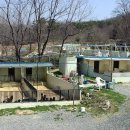 베르네집 이미지