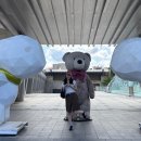 경주 바니베어뮤지엄 (구.테디베어뮤지엄) 솔직후기 경주 여행 경주 가볼만한 곳
