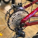 태화로L | 트렉(TREK) 21년형 전기자전거 레일 7 ebike 2차 입고(ft.bosh) 울산 OMK바이크캠프