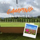 구리한강시민공원 | 구리 코스모스 축제 구리한강시민공원 캠크닉 꿀팁