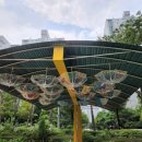 희소유치원 이미지