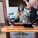 로슬린헤어 이미지