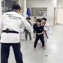 국가대표 별빛 태권도장 이미지