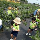 만이농장 이미지