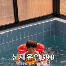 선재유일390 이미지