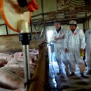 효창농장 이미지