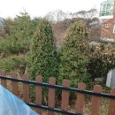 인천광역시 강화군 양도면사무소 이미지