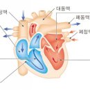 필라테스칼리지피티