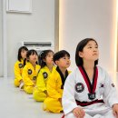행복한 비룡태권도장 네이버블로그