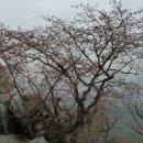 정릉26 이미지