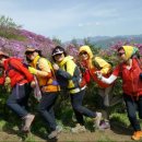 달구지 Daum카페