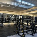 레벨업핏 이미지