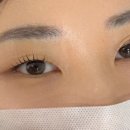멜트브로우 이미지