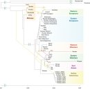 북부유전자 이미지
