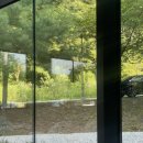 허깅 | 근교 용인 기흥 카페 추천, 그린뷰가 아름다운 로스팅하우스 허깅 커피 맛집 분당본점이전 평일 방문후기