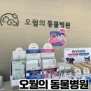 오월의 동물병원 이미지