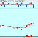 현대광학 이미지