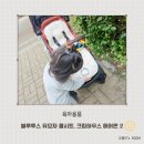 블루투스 유모차 쿨시트 크림하우스 에어몬2 찐후기 세탁방법