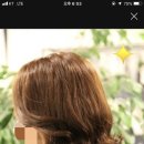 풍림머리방 이미지