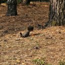 매탄공원 이미지