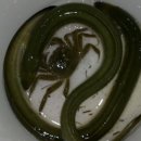 용바위 이미지