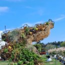 거제식물원 이미지