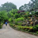 산골쉼터민박 이미지