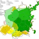 체코슬로바키아어군 Czech–Slovak languages