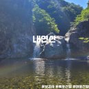 [100대명산] 여름 폭포산행후 온천 어때? 포항 내연산과 보경사, 12폭포 뚜벅이 등산 후기