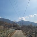 하양-11(대조2리 마을회관 앞) | 영남알프스 운문산 최단코스 아직도 상양마을 가세요? 진짜 꿀단지 좌표 공유