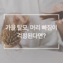 웰킨두피탈모센터 이미지