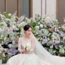 [본식후기] 노비아갈라 동촌 시그니아홀 + 마리스포사 + 꼼나나브라이드 대구 실제 본식후기