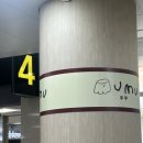 일출해장국 | 제주공항 우무 푸딩 구매 후 제주도 필수 맛집 우진 해장국 웨이팅 후기