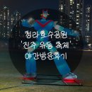 청라호수동물메디컬센터 | 청라호수공원 "진주 유등 축제" 야간방문후기