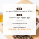 서래부부한의원 이미지