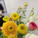 화훼장식 기능사 이미지