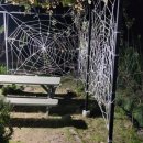 소나무가든민박 이미지